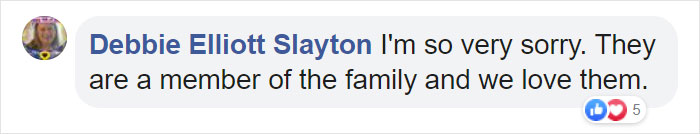 "Before You Get A Puppy, Imagine Yourself 10+ Years From Now": Woman's Brutally Honest Post About Getting A Dog Goes Viral