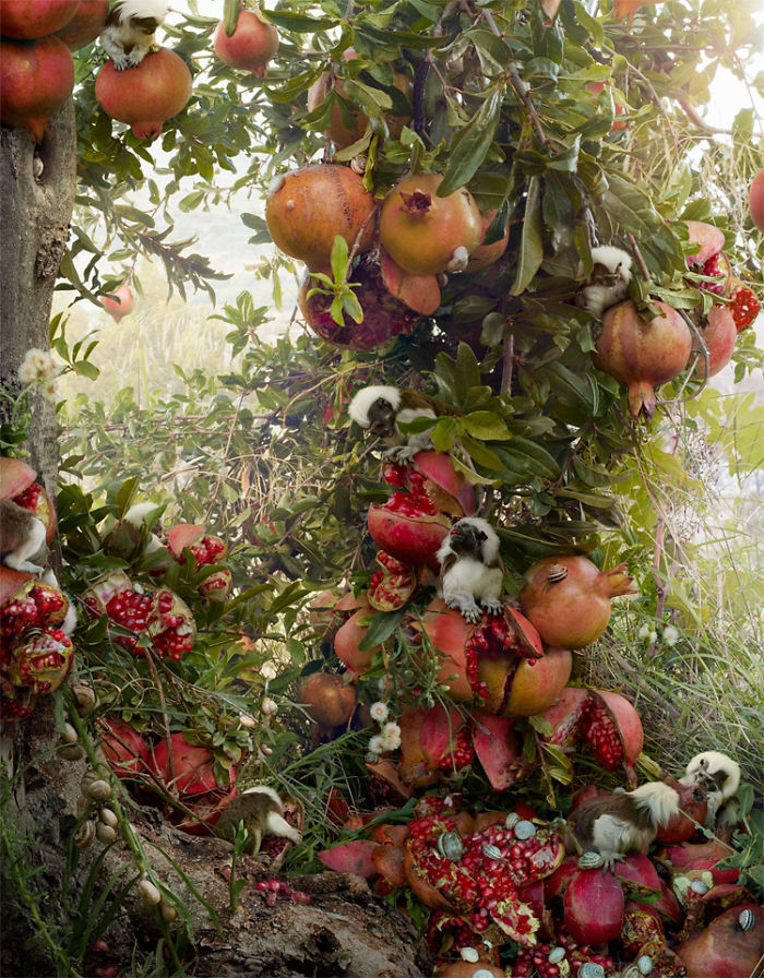 The Allegorical And Unusual Nature Of Simen Johan