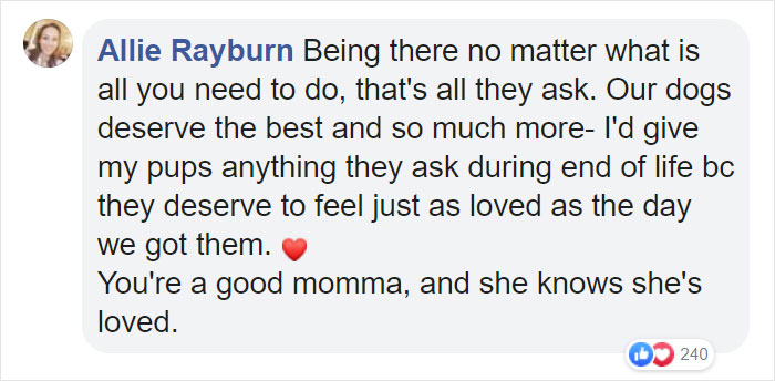 "Before You Get A Puppy, Imagine Yourself 10+ Years From Now": Woman's Brutally Honest Post About Getting A Dog Goes Viral
