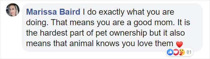 "Before You Get A Puppy, Imagine Yourself 10+ Years From Now": Woman's Brutally Honest Post About Getting A Dog Goes Viral
