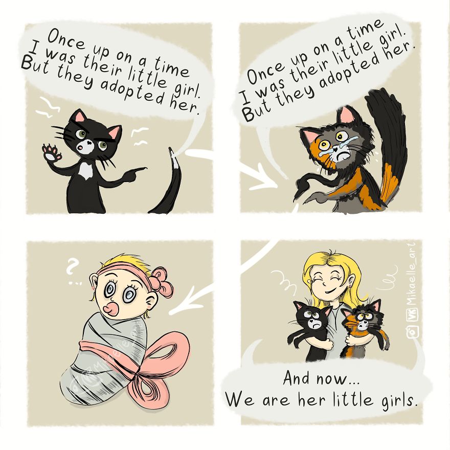 These Cats Need A Psychologist