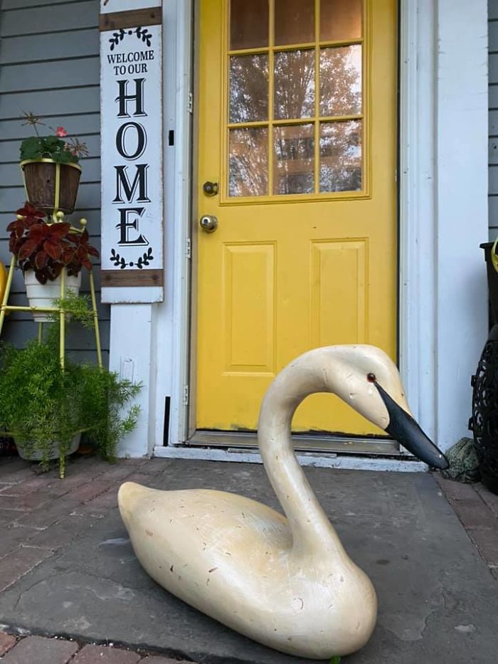 I’m Driving Home, Minding My Own Business When Out Of The Corner Of My Eye I See Him Sitting There On The Side Of The Road, Looking Lonely And Dejected