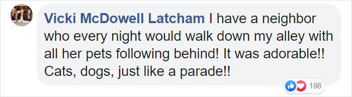 Woman Records This Stranger Leading A Parade Of Dogs, Cats, And Birds Down The Street, And The Scene Looks Magical