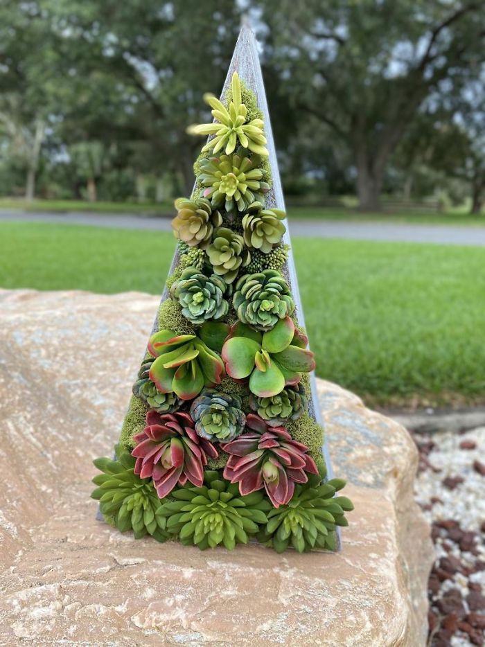 These 13-Inch Succulent Christmas Trees Are Ideal For Celebrating In A Small Space