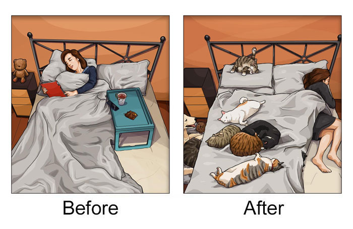 Life-Before-After-Pets- Illustrations-Mai-John