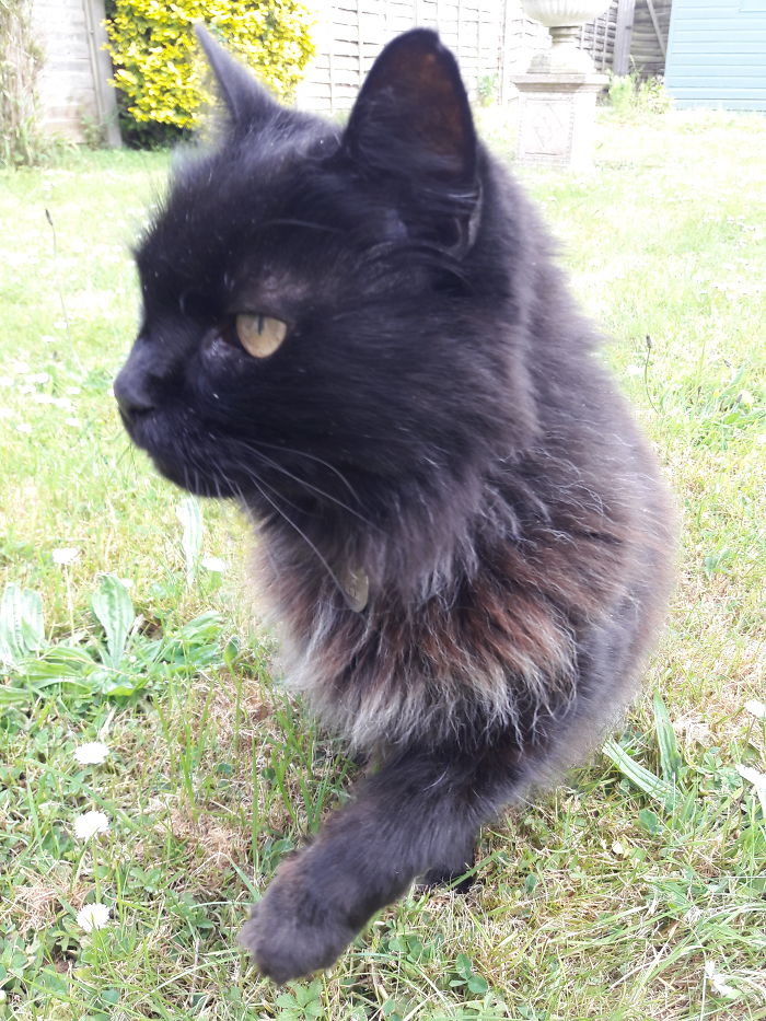 Molly, 16 Years And Still Dancing