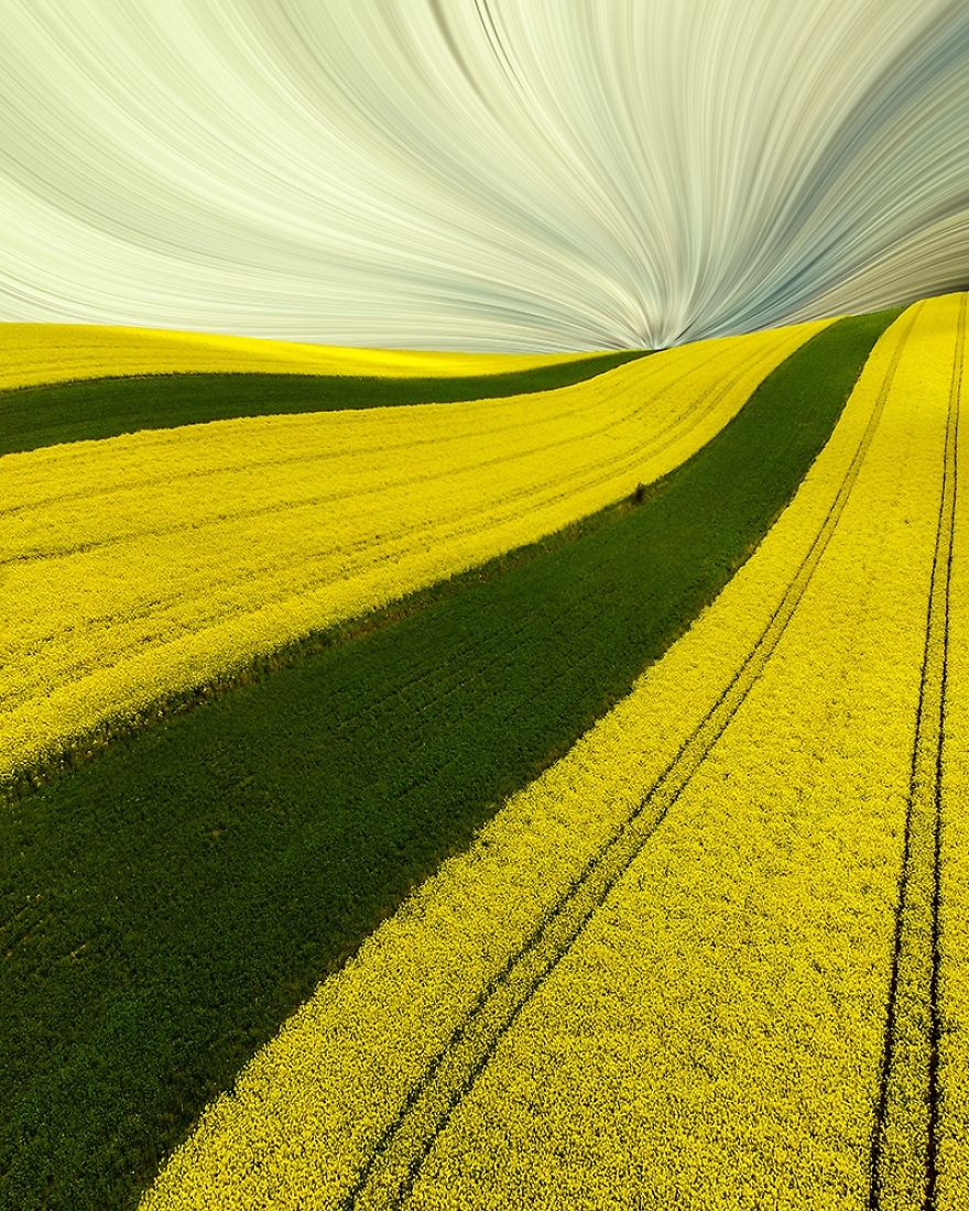 Abstract Category Highly Commended: Spring Zebra