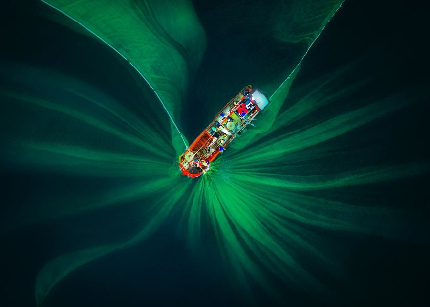 Abstract Category Highly Commended: The Fishing Net