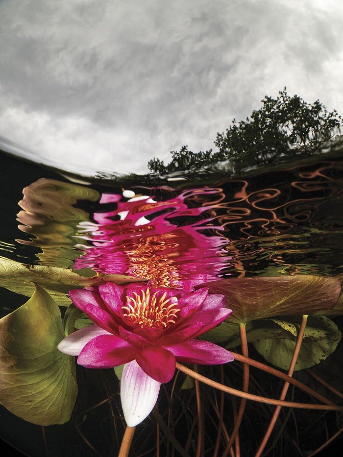 Honorable Mention - Enrico Somogyi