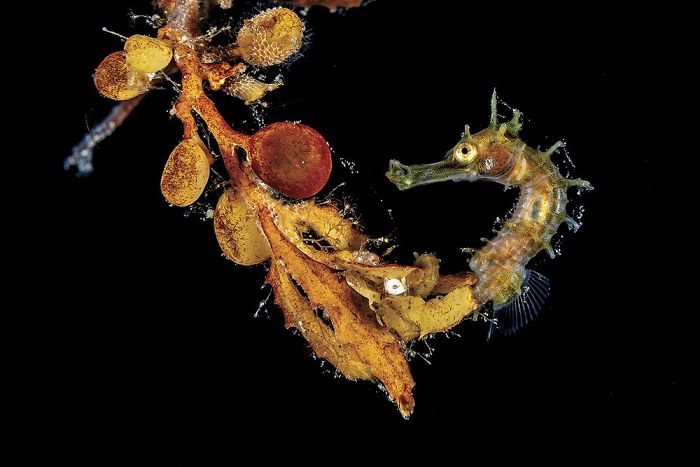 First Place In Macro - Jeffrey Haines, West Palm Beach, Florida