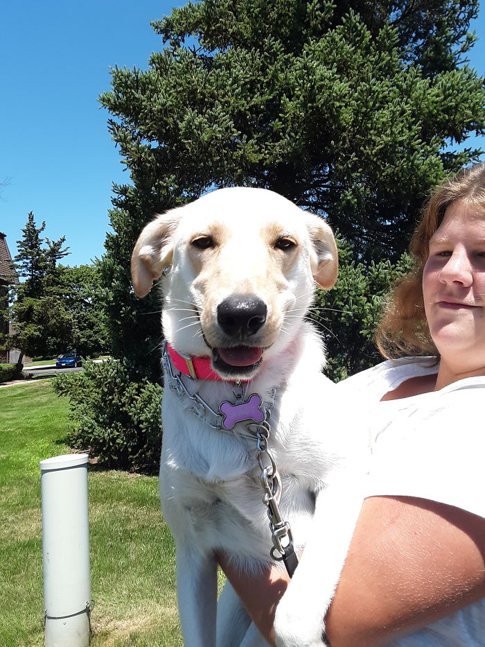 Coming Back Form The Pet Store Happiest Pupper Ever.