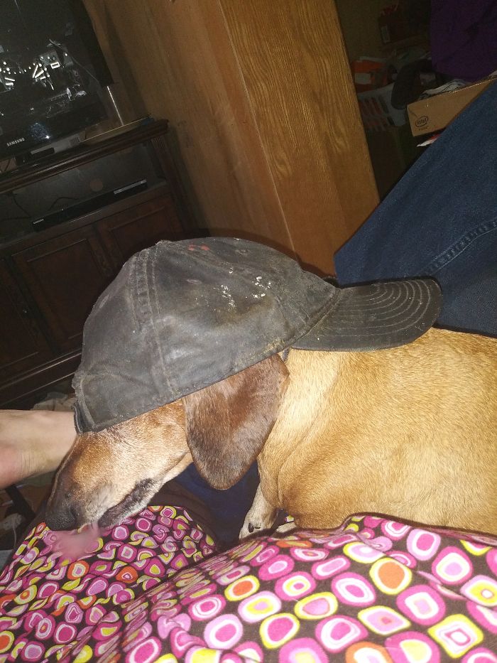 Buckeye Looking Cool