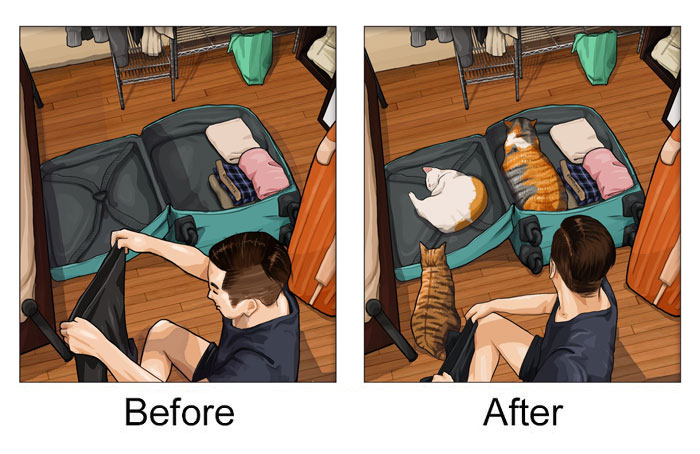 Life-Before-After-Pets- Illustrations-Mai-John