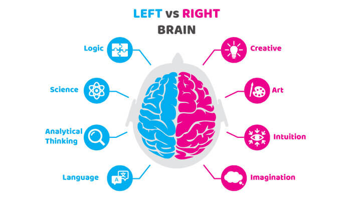 Person Asks Others To Share What Widely Accepted Facts They Know Are Wrong, And Here Are 30 Of The Most Interesting Responses