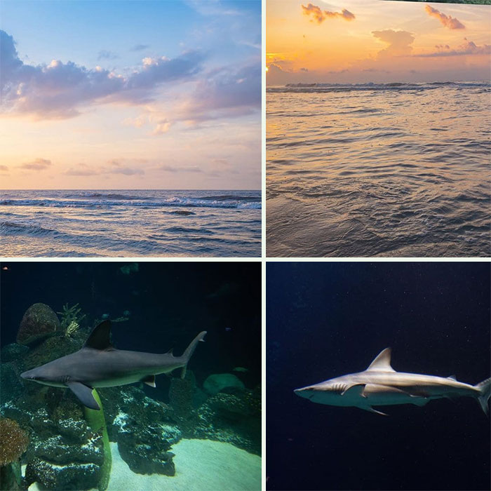 Photographer Shows How He Edits Ordinary Pics To Make Them Look Magical With 12 Before And After Examples Photographer Shows How He Edits Ordinary Pics To Make Them Look Magical With 12 Before And After Examples