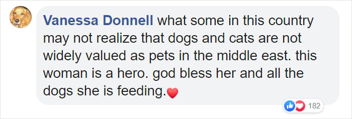 Woman Records This Stranger Leading A Parade Of Dogs, Cats, And Birds Down The Street, And The Scene Looks Magical