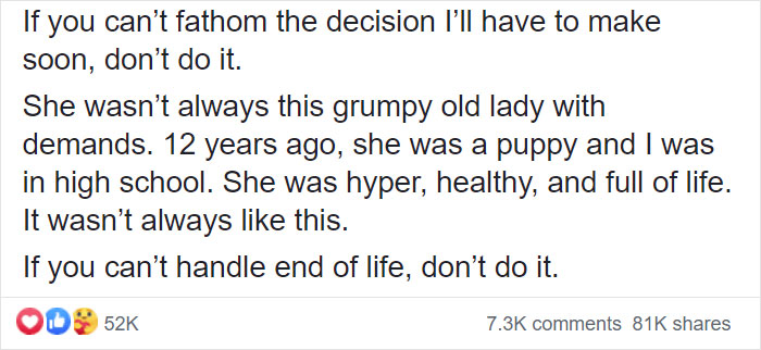 "Before You Get A Puppy, Imagine Yourself 10+ Years From Now": Woman's Brutally Honest Post About Getting A Dog Goes Viral
