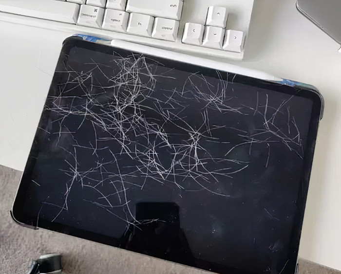 Owner Leaves Her iPad Unattended, Finds A Bunch Of Her 7-Month-Old Cat's Selfies And A Lot Of His Hair