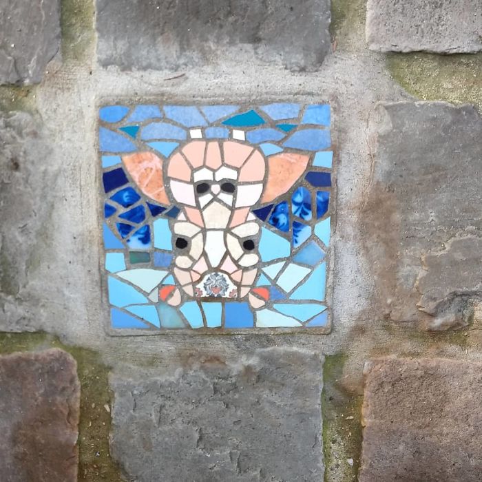 Cats-Mosaics-Street-Art-Schaerbeek-Brussels-Belgium