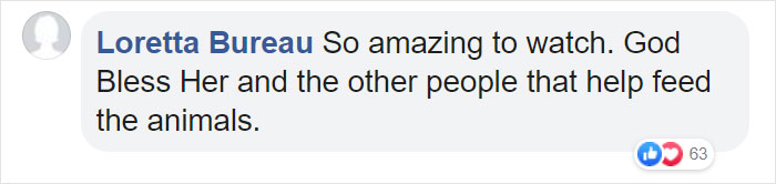 Woman Records This Stranger Leading A Parade Of Dogs, Cats, And Birds Down The Street, And The Scene Looks Magical