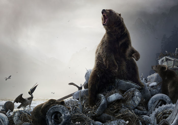 The Allegorical And Unusual Nature Of Simen Johan