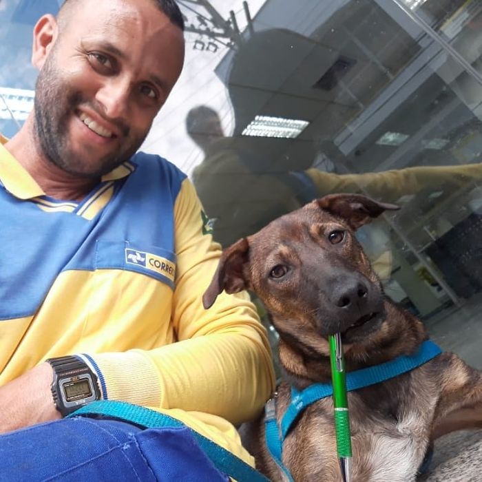 This Brazilian Postman Breaks The Stereotype That Dogs Don't Like Postmen (120 Pics)