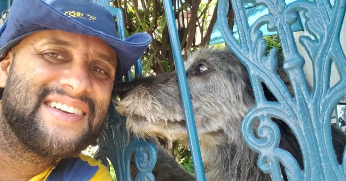 This Brazilian Postman Breaks The Stereotype That Dogs Don't Like Postmen (120 Pics)