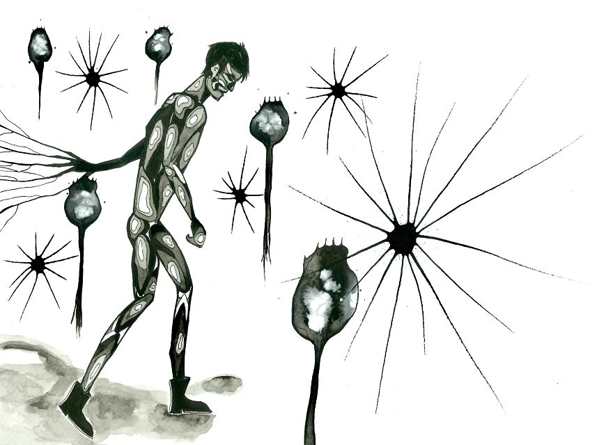 Aedyn Jak Art From His Books