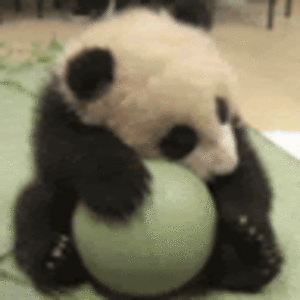 dylanblackwell avatar