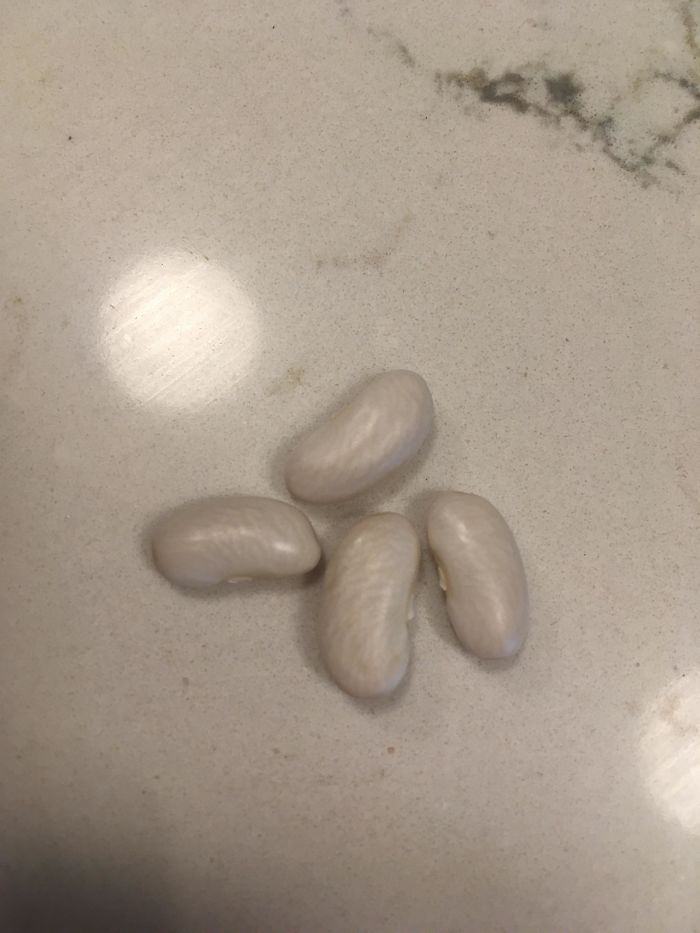 Funny-Failed-Harvest