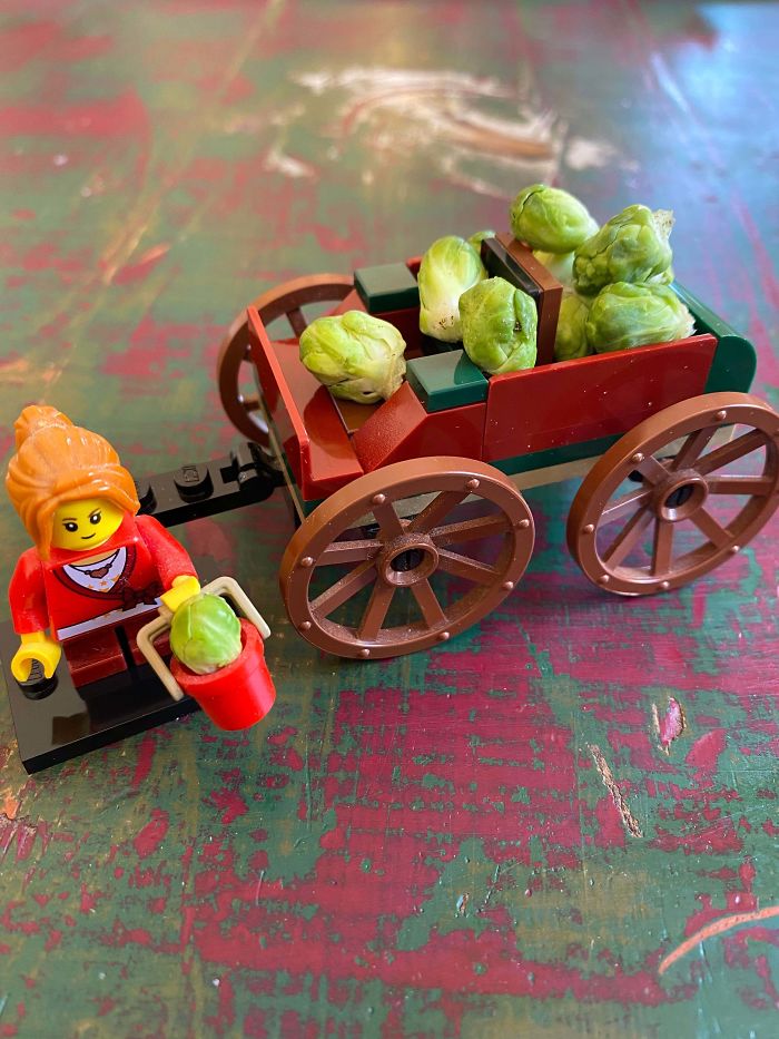 Funny-Failed-Harvest