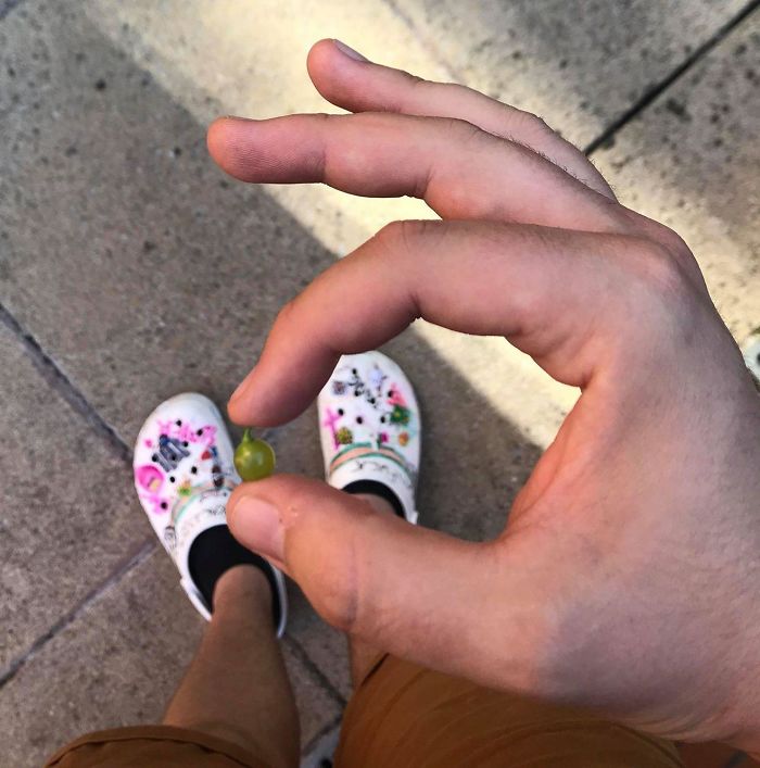 Funny-Failed-Harvest