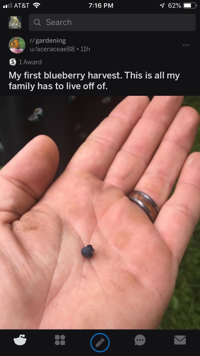 Funny-Failed-Harvest