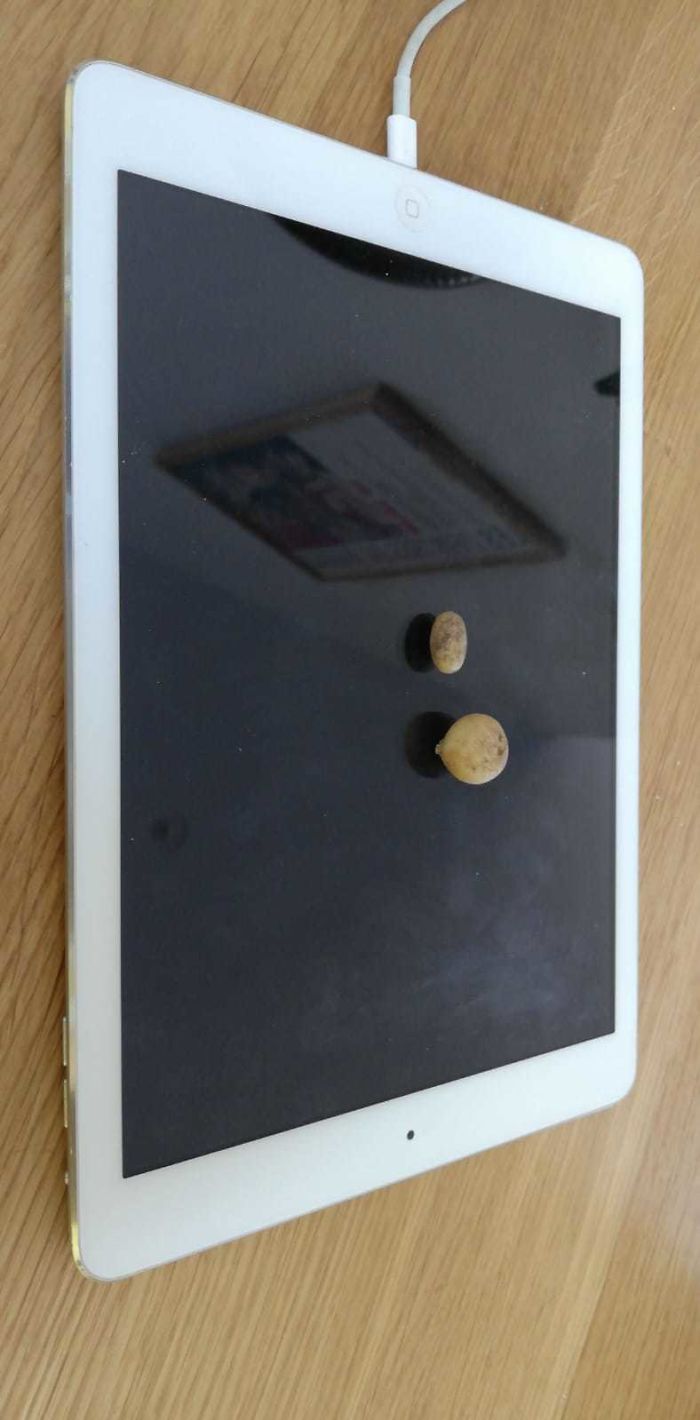 Funny-Failed-Harvest