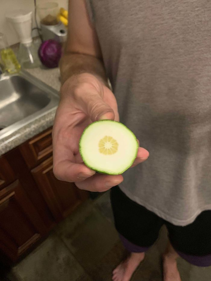 Funny-Failed-Harvest