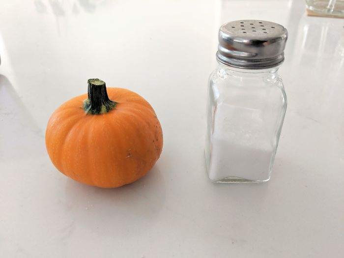 Funny-Failed-Harvest