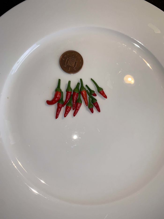 Funny-Failed-Harvest