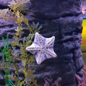 michalesme_96 avatar