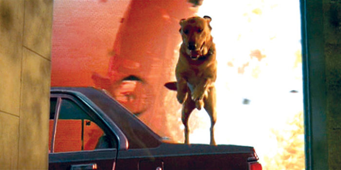 In Independence Day (1996) The Dog Boomer Survives, Which Makes Him An Ok Boomer