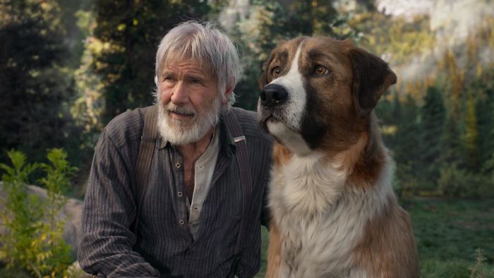 In This Shot From The Call Of The Wild (2020) They Needed Harrison Ford Looking Dismayed, So They Showed Him Some Footage Of How Shi*ty The Dog Animation Was Going To End Up Looking