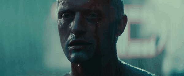 In Blade Runner (1982), The 20th Of November 2019 Is Shown To Be A Particularly Rainy Day. This Is Subtle Foreshadowing Of The Fact That It Really Did Rain On The 20th Of November 2019.