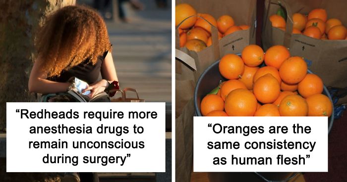 Person Asks Others “What Is The Most ‘Why The Hell Do You Know That’ Fact,” Receives 30 Random Answers