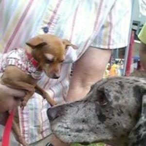 queenbeaver93514 avatar