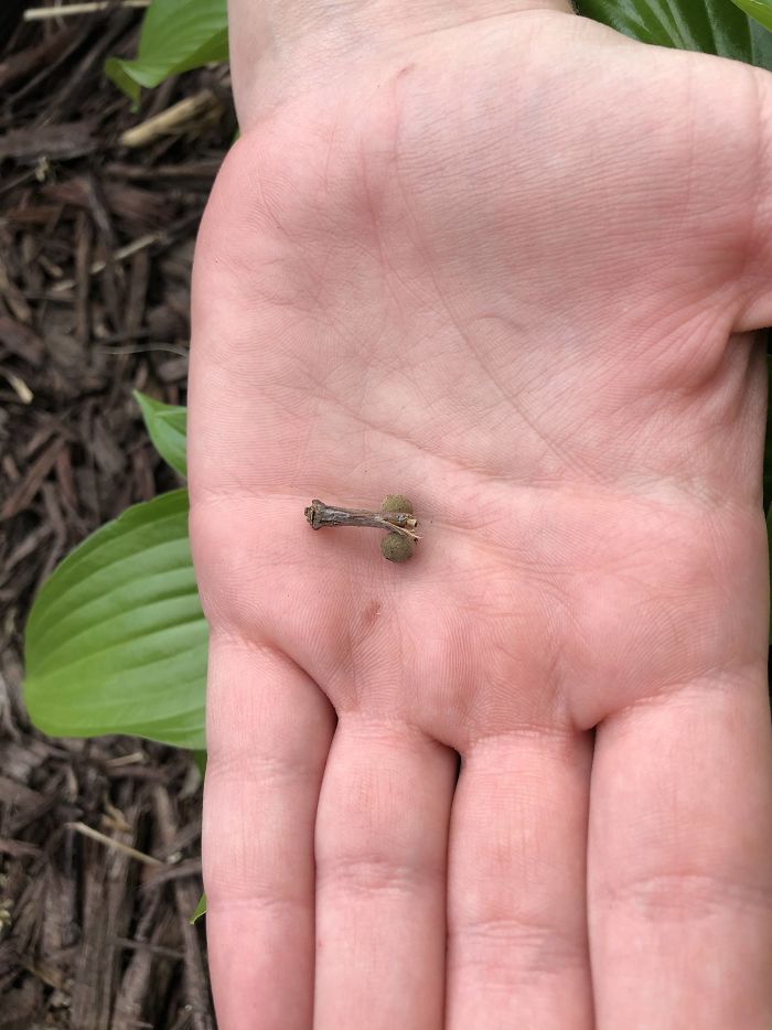 My Wife Said “This Looks Familiar”