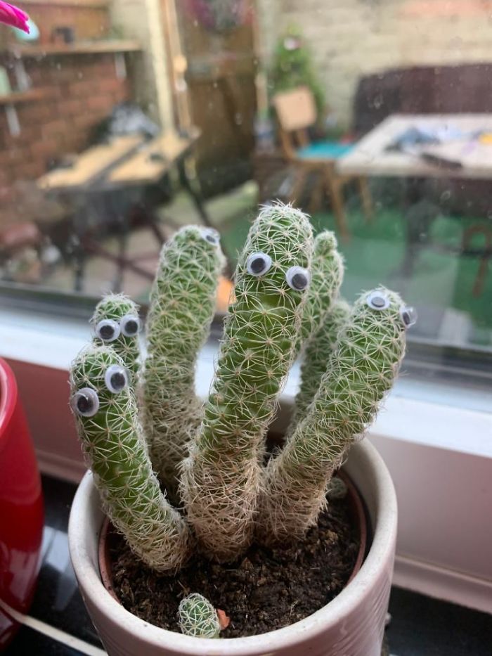 Did This Christmas Day, Girlfriend Still Hasn't Noticed