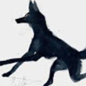 suzannemetcalf avatar