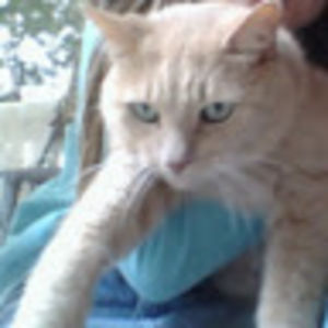 mackenziecarver avatar