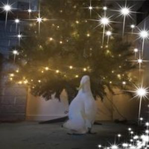 kellie_jarman avatar