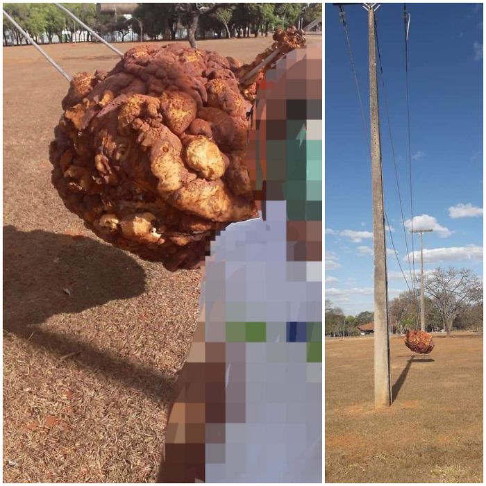 Heavy Mass Hanging On Transmission Cables