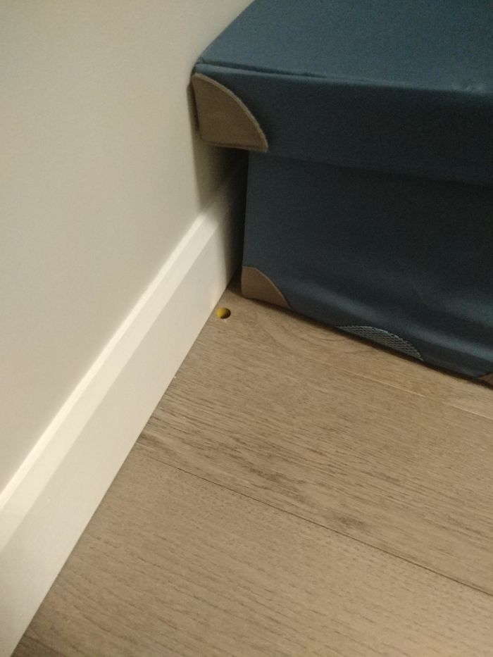 This Circular Piece Of Confetti Which Looks Like A Hole In The Hardwood